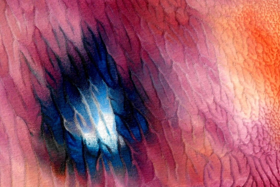 Investing in Contemporary Art Direct from the Artist