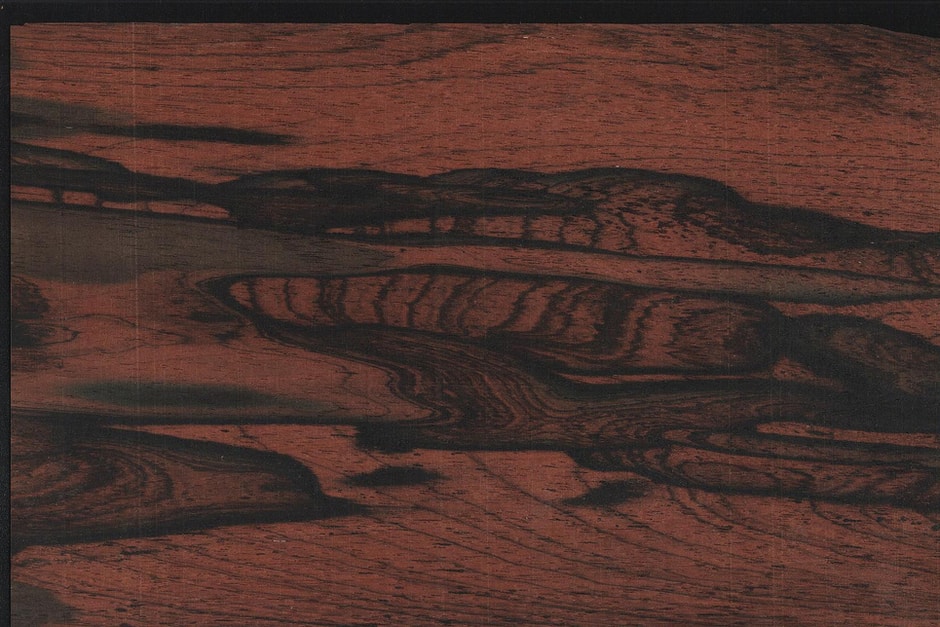 Brazilian Rosewood - The Extinction of a Legend