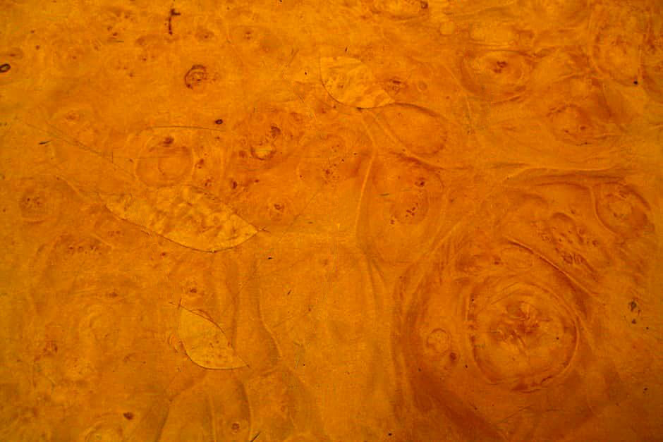 Understanding Exotic Wood Burls