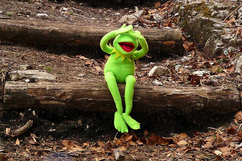 Political Risk, Muppets & Stock Investing